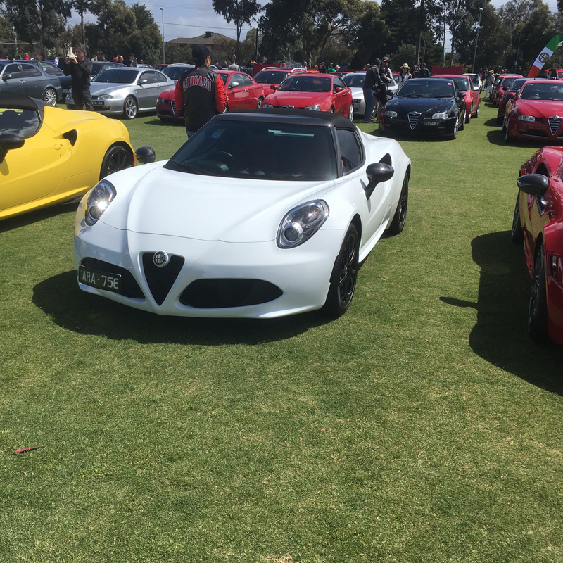 Illustration for article titled Alfa car show pic dump